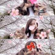 葵 桜まみれ シャトーペトラ