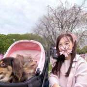 ヒメ日記 2026/04/10 22:31 投稿 葵 シャトーペトラ