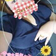 ヒメ日記 2025/08/15 18:24 投稿 レモン ぽちゃデリ！Mix Juice 上尾店