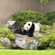 ヒメ日記 2025/05/19 07:30 投稿 しの 奥鉄オクテツ奈良