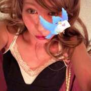 ヒメ日記 2025/08/02 21:30 投稿 めぐ Mrs Sirena（ミセスシレナ）