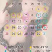 ヒメ日記 2025/05/27 08:08 投稿 萩野芽　れいか やみつきエステ2nd札幌店