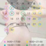 ヒメ日記 2025/06/19 08:19 投稿 萩野芽　れいか やみつきエステ2nd札幌店