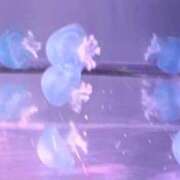 ヒメ日記 2025/02/20 18:05 投稿 じゅん 脱がされたい人妻 成田店