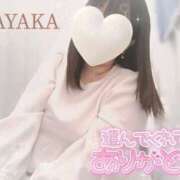 ヒメ日記 2025/03/20 14:25 投稿 さやか 栃木宇都宮ちゃんこ