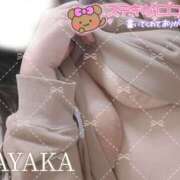 ヒメ日記 2025/03/31 10:15 投稿 さやか 栃木宇都宮ちゃんこ