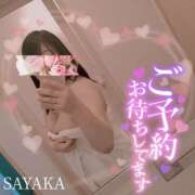 ヒメ日記 2025/09/02 16:05 投稿 さやか 栃木宇都宮ちゃんこ