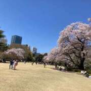 シーナ-Shina- 良かったよ。 マニア東京　Mフェチ・アブノーマル専門店