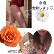 ヒメ日記 2025/03/23 09:28 投稿 さえ BAD COMPANY 札幌