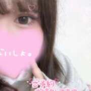 ヒメ日記 2025/04/30 14:42 投稿 ぽぽ☆ 豊橋豊川ちゃんこ