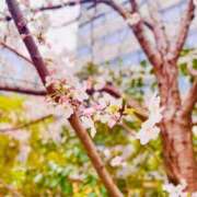 ヒメ日記 2025/03/20 12:06 投稿 みいな　ゴールド+3 CLUB虎の穴 福岡店