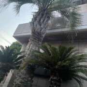 ヒメ日記 2025/05/01 05:34 投稿 みいな　ゴールド+3 CLUB虎の穴 福岡店