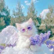 ヒメ日記 2025/06/26 23:27 投稿 みいな　ゴールド+3 CLUB虎の穴 福岡店