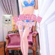 みいな　ゴールド+3 🎀次回出勤日🎀 CLUB虎の穴 福岡店