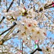 ヒメ日記 2026/04/09 22:00 投稿 みいな　ゴールド+3 CLUB虎の穴 福岡店