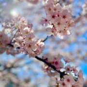 ヒメ日記 2026/04/19 12:01 投稿 みいな　ゴールド+3 CLUB虎の穴 福岡店