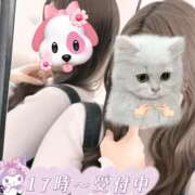 ヒメ日記 2025/05/02 10:49 投稿 ふうか 素敵な女の子は好きですか？