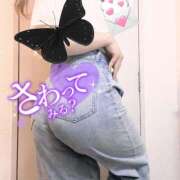 ヒメ日記 2025/05/09 16:48 投稿 ふうか 素敵な女の子は好きですか？