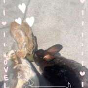 ヒメ日記 2025/06/24 20:18 投稿 ふうか 素敵な女の子は好きですか？