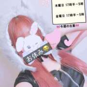 ヒメ日記 2026/04/08 09:33 投稿 ふうか 素敵な女の子は好きですか？