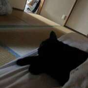 ユズ 🌸 OLの品格 クラブアッシュ