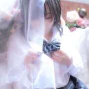 ヒメ日記 2026/04/11 11:16 投稿 るい ニュー不夜城