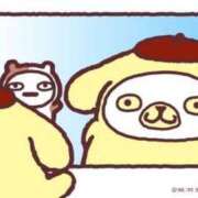 ヒメ日記 2025/05/11 10:14 投稿 かい マリン土浦本店