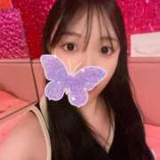 ヒメ日記 2025/07/20 07:31 投稿 かい マリン土浦本店