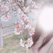 ヒメ日記 2025/04/10 14:30 投稿 ゆい 至福の密着エステ&禁断のM性感 Luxeaz