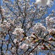 ヒメ日記 2026/03/30 14:50 投稿 めい奥様 なすがママされるがママ