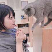 ヒメ日記 2025/05/12 20:43 投稿 れんげ One More 奥様　錦糸町店