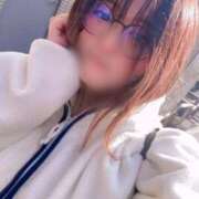 ヒメ日記 2025/03/19 15:54 投稿 めい奥様 なすがママされるがママ春日部