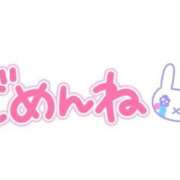 ヒメ日記 2025/02/24 16:06 投稿 るみ ちゃんこ幕張店