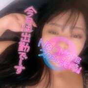 ヒメ日記 2025/04/12 08:36 投稿 るみ ちゃんこ幕張店