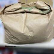 ヒメ日記 2025/03/28 12:38 投稿 まき チューリップ土浦店