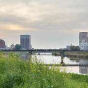 ヒメ日記 2025/04/28 06:20 投稿 まき チューリップ土浦店