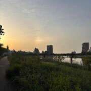 ヒメ日記 2025/05/05 08:48 投稿 まき チューリップ土浦店