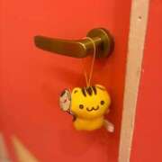 ヒメ日記 2025/05/17 06:08 投稿 まき チューリップ土浦店