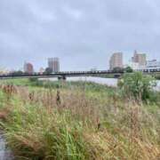 ヒメ日記 2025/06/15 05:58 投稿 まき チューリップ土浦店