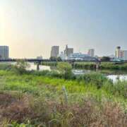 ヒメ日記 2025/07/03 05:58 投稿 まき チューリップ土浦店