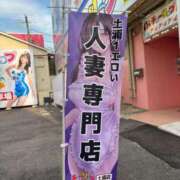 ヒメ日記 2025/07/06 21:28 投稿 まき チューリップ土浦店