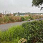 ヒメ日記 2025/07/14 05:54 投稿 まき チューリップ土浦店