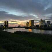 ヒメ日記 2025/09/29 05:58 投稿 まき チューリップ土浦店