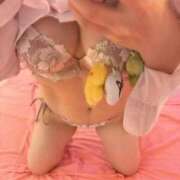 ヒメ日記 2025/10/20 14:08 投稿 まき チューリップ土浦店