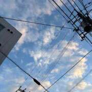 ヒメ日記 2025/12/20 13:28 投稿 まき チューリップ土浦店