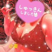 ヒメ日記 2025/03/06 01:12 投稿 小麦（こむぎ） 丸妻 錦糸町店