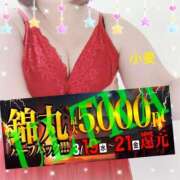 ヒメ日記 2025/03/19 14:01 投稿 小麦（こむぎ） 丸妻 錦糸町店