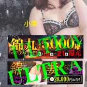 ヒメ日記 2025/03/21 18:09 投稿 小麦（こむぎ） 丸妻 錦糸町店