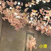 ヒメ日記 2025/04/17 21:01 投稿 小麦（こむぎ） 丸妻 錦糸町店