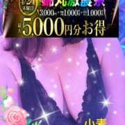 ヒメ日記 2025/04/24 20:00 投稿 小麦（こむぎ） 丸妻 錦糸町店